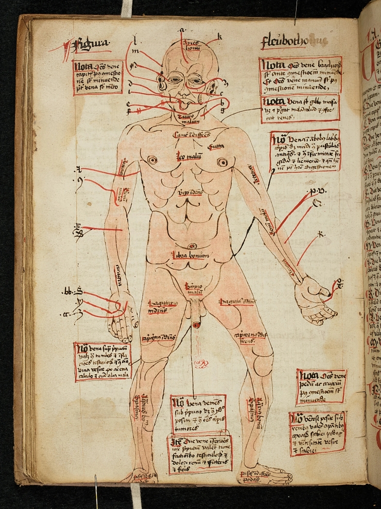 Mittelalterliche Medizin und Rezepte werden digitalisiert und für alle frei zugänglich sein